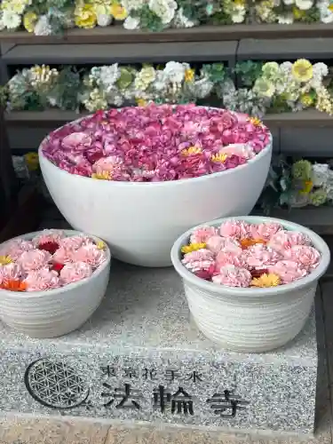 法輪寺の{uncategorized: "未分類", other: "その他", undefined: "問題あり", building: "その他建物", grave: "お墓", sacred_gate: "鳥居", guardian: "狛犬", statue: "像", buddha: "仏像", history: "歴史", nature: "自然", garden: "庭園", animal: "動物", pagoda: "塔", temizu: "手水舎", mountain_gate: "山門・神門", sanctuary: "本殿・本堂", subordinate: "末社・摂社", art: "芸術", scenery: "景色", jizo: "地蔵", ema: "絵馬", goshuin: "御朱印", omikuji: "おみくじ", items: "授与品その他", amulet: "お守り", goshuincho: "御朱印帳", eats: "食事", festival: "お祭り", votive_dance: "神楽", shichigosan: "七五三参", wedding: "結婚式", experience: "体験その他", initially: "初詣", around: "周辺", anti_infection: "感染症対策"}