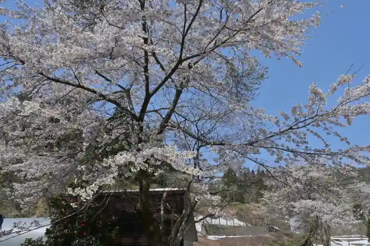竹之高地不動社(新潟県)