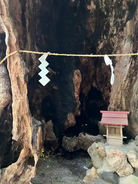 來宮神社(静岡県)
