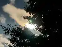 昌林寺(長野県)