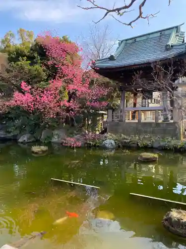 西新井大師総持寺の庭園