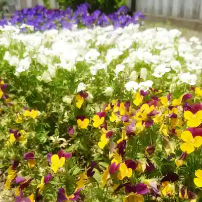 秋葉神社の自然