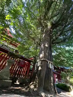 秩父神社(埼玉県)