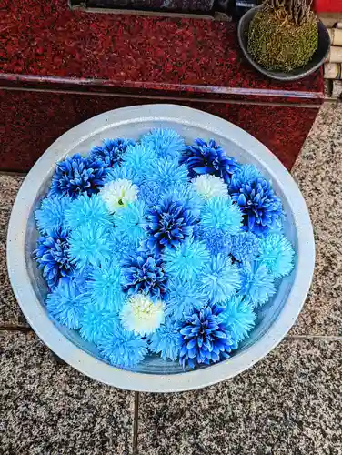 法輪寺の芸術
