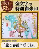 🌸 春の訪れを祝した、龍と春霞に咲く桜の特別仕様 🌸