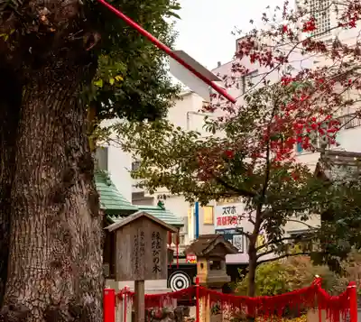 三輪神社(愛知県)