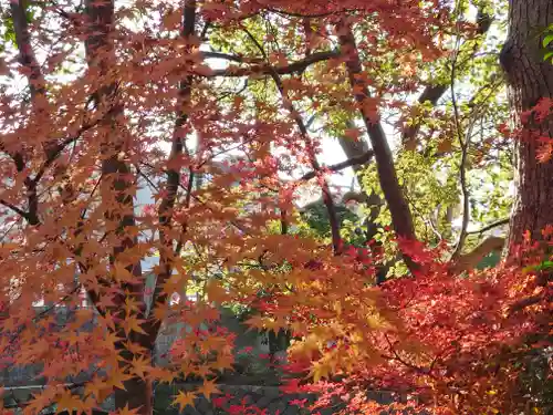 宮山神社(神奈川県)