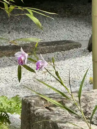 西来院(京都府)