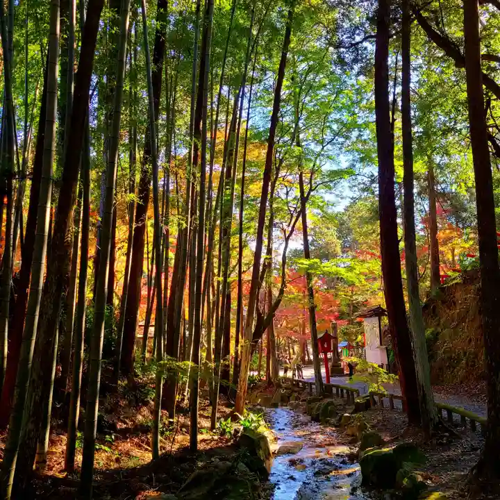 目の霊山 油山寺(静岡県)