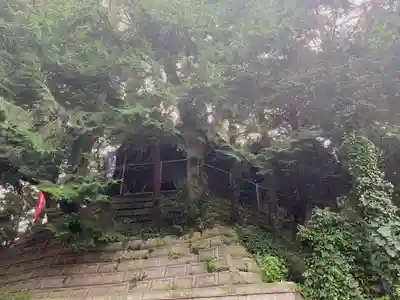 前玉神社(埼玉県)