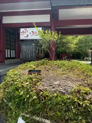篠崎八幡神社(福岡県)