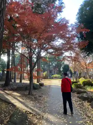 豪徳寺(東京都)
