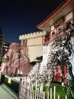 成願寺(東京都)