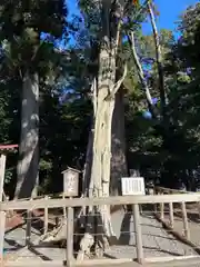 渭伊神社(静岡県)