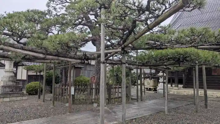 東雲寺(滋賀県)