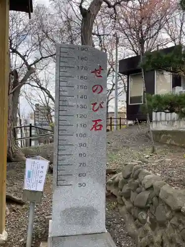 手稲神社の体験その他