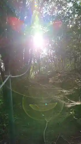 西寒多神社の建物その他