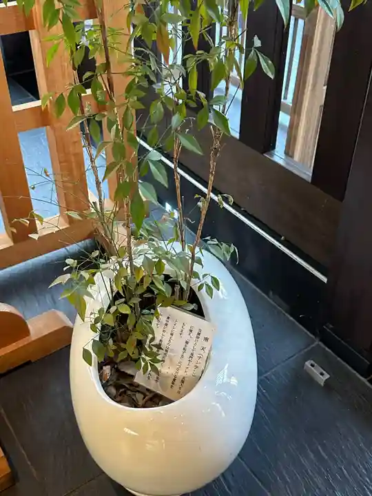 川屋神社(千葉県)