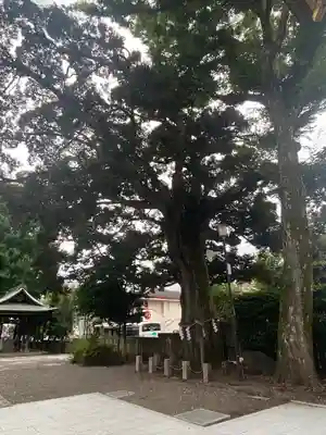 八幡大神社(東京都)