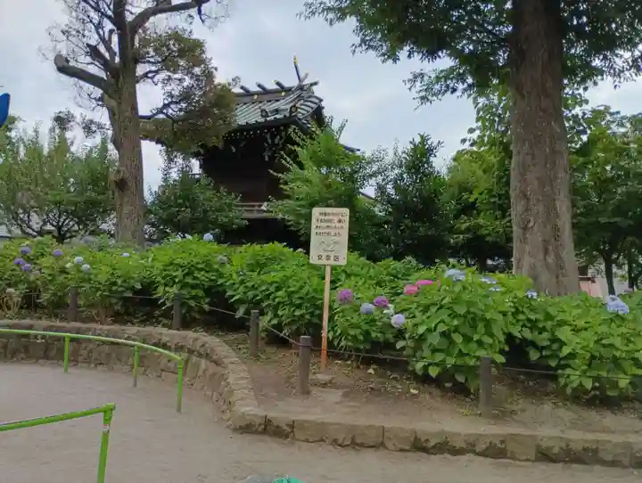 白山神社(東京都)
