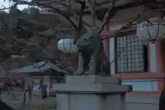 鞍馬寺の狛犬