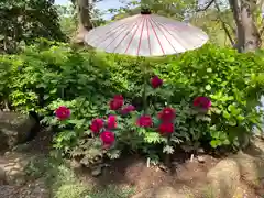 鶴岡八幡宮の自然