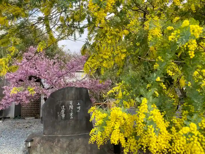 達磨寺(群馬県)
