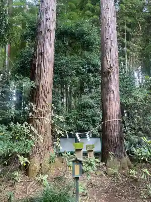 光丸山 法輪寺(栃木県)