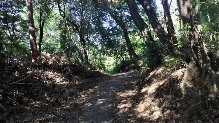 竹中稲荷神社(吉田神社末社)(京都府)