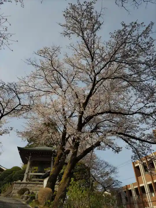 法華寺のその他建物
