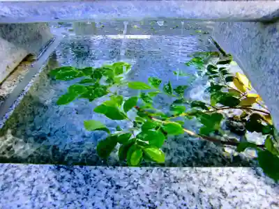 大宮・大原神社の手水舎