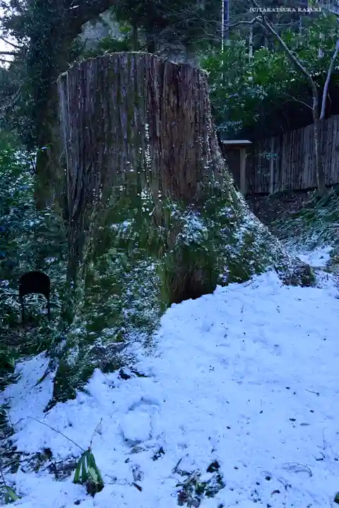 貴船神社結社(京都府)