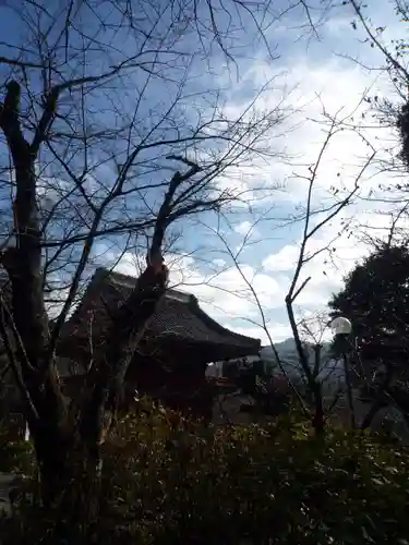 楽法寺（雨引観音）の建物その他