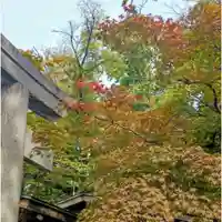 彌彦神社 (伊夜日子神社)(北海道)