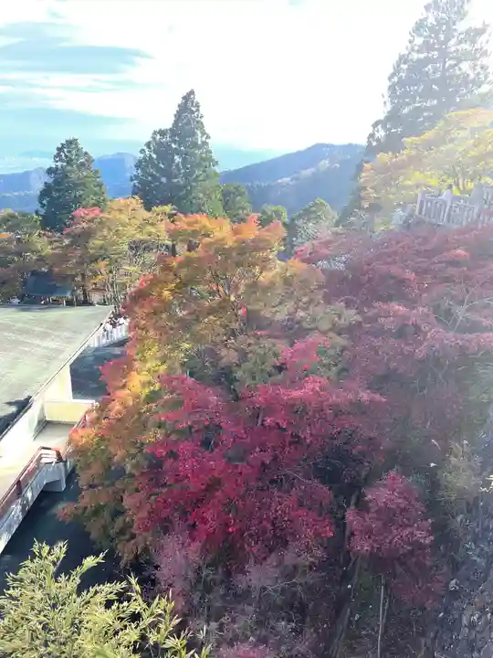 大山阿夫利神社の景色