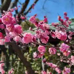 豊國神社の自然