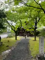 新長谷寺(京都府)