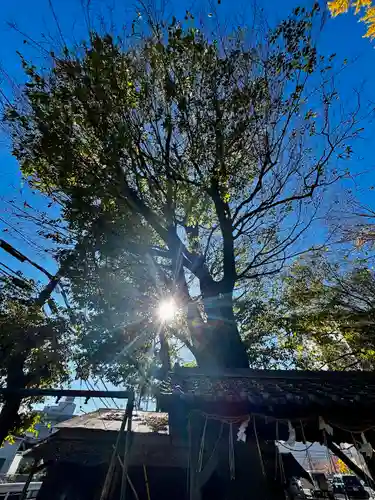 三栖神社(京都府)