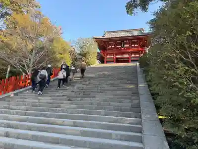 鶴岡八幡宮の{uncategorized: "未分類", other: "その他", undefined: "問題あり", building: "その他建物", grave: "お墓", sacred_gate: "鳥居", guardian: "狛犬", statue: "像", buddha: "仏像", history: "歴史", nature: "自然", garden: "庭園", animal: "動物", pagoda: "塔", temizu: "手水舎", mountain_gate: "山門・神門", sanctuary: "本殿・本堂", subordinate: "末社・摂社", art: "芸術", scenery: "景色", jizo: "地蔵", ema: "絵馬", goshuin: "御朱印", omikuji: "おみくじ", items: "授与品その他", amulet: "お守り", goshuincho: "御朱印帳", eats: "食事", festival: "お祭り", votive_dance: "神楽", shichigosan: "七五三参", wedding: "結婚式", experience: "体験その他", initially: "初詣", around: "周辺", anti_infection: "感染症対策"}