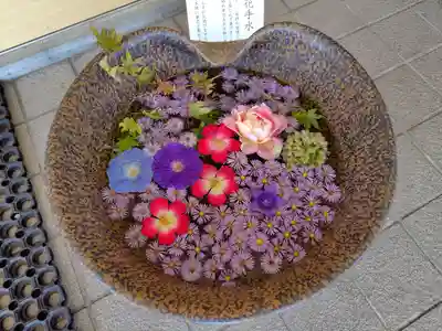 美瑛神社の手水舎