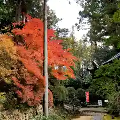 龍潭寺の自然