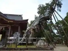 新北神社の自然