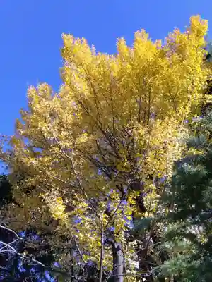 本遠寺(愛知県)