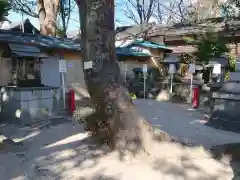 入海神社の建物その他