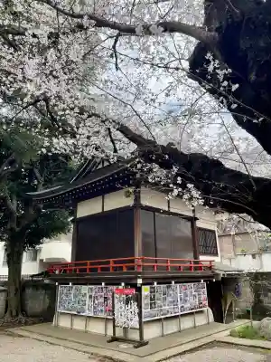 駒込天祖神社の{uncategorized: "未分類", other: "その他", undefined: "問題あり", building: "その他建物", grave: "お墓", sacred_gate: "鳥居", guardian: "狛犬", statue: "像", buddha: "仏像", history: "歴史", nature: "自然", garden: "庭園", animal: "動物", pagoda: "塔", temizu: "手水舎", mountain_gate: "山門・神門", sanctuary: "本殿・本堂", subordinate: "末社・摂社", art: "芸術", scenery: "景色", jizo: "地蔵", ema: "絵馬", goshuin: "御朱印", omikuji: "おみくじ", items: "授与品その他", amulet: "お守り", goshuincho: "御朱印帳", eats: "食事", festival: "お祭り", votive_dance: "神楽", shichigosan: "七五三参", wedding: "結婚式", experience: "体験その他", initially: "初詣", around: "周辺", anti_infection: "感染症対策"}