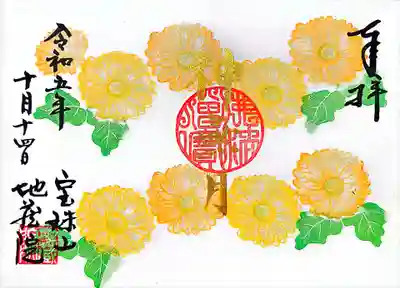 こちらは秋の花の代表選手「菊」ですね。