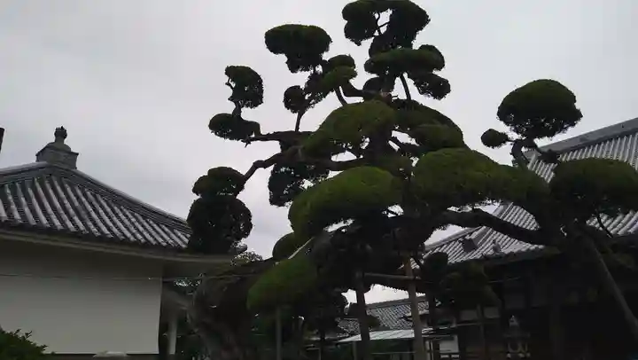 西法寺(大阪府)