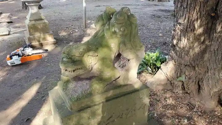 諏訪神社の狛犬