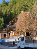 清浄心院のその他建物