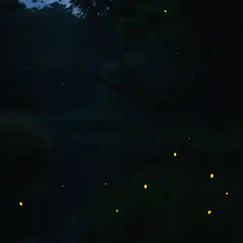 木舟山　順教寺(広島県)